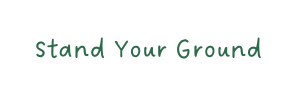 Stand Your Ground