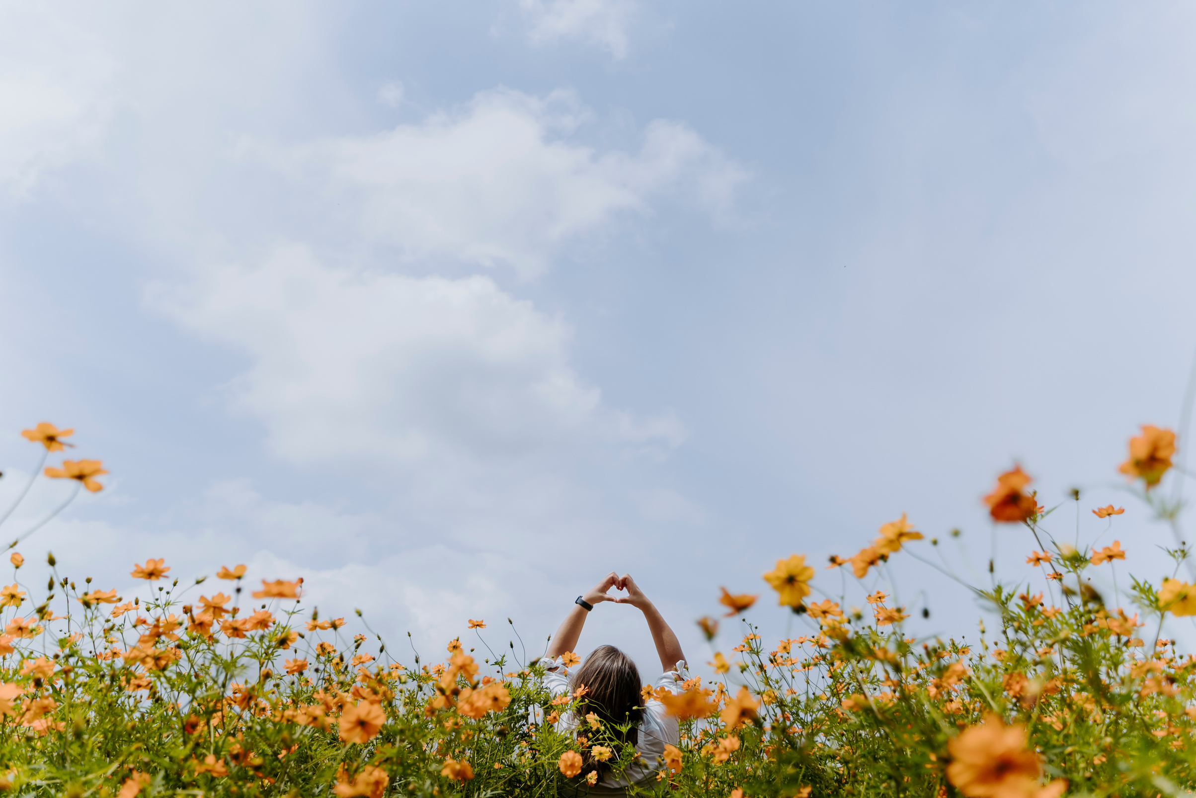 Woman Doing Heart Gesture Behind the Flowers in the Field